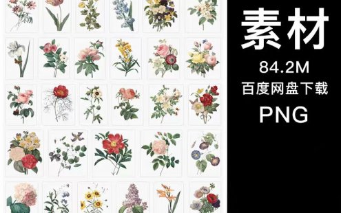 1534款复古Vintage维多利亚时期花朵花卉免扣PNG图案装饰元素PS设计素材