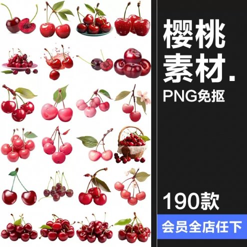 190款车厘子图片樱桃特写cherry级别35J手绘海报装饰元素PNG免抠素材